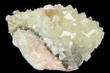 Fluorescent Calcite Crystal Cluster on Barite - Morocco #128006-1